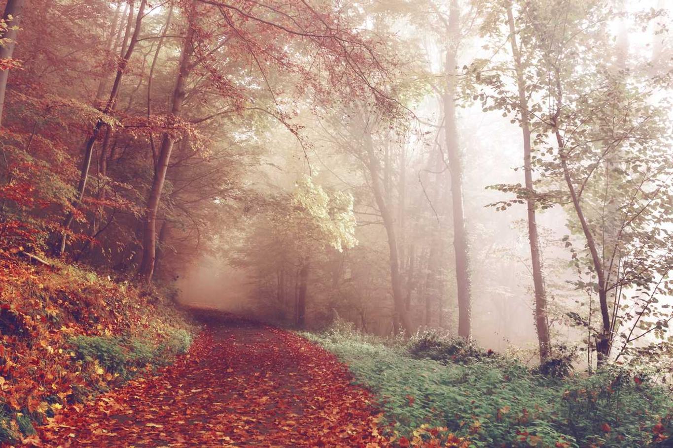 Perspiciatis velit consequatur nostrum distinctio