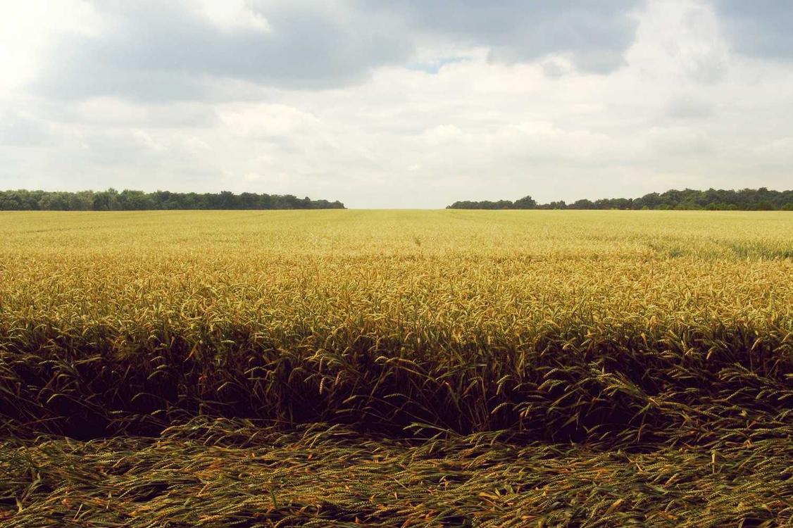 Quia est quos voluptas eligendi laudantium aliquid