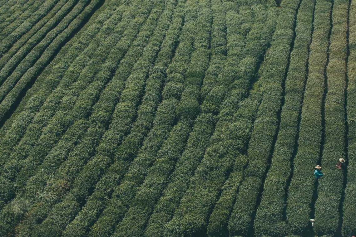 Consequatur ipsam amet quo delectus ea deleniti