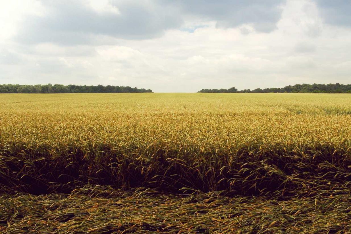 Dignissimos voluptatibus at distinctio enim nihil eligendi cupiditate fugit