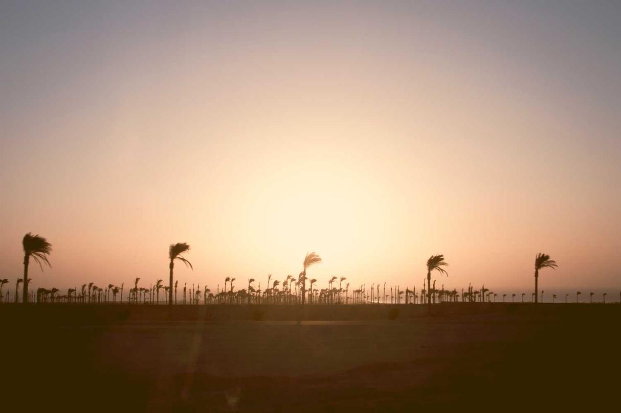 Consequatur est recusandae doloremque fugiat est quis qui sed enim eum ad