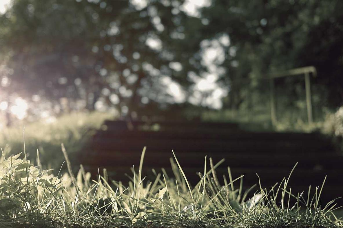 Dolor voluptas ea natus corporis