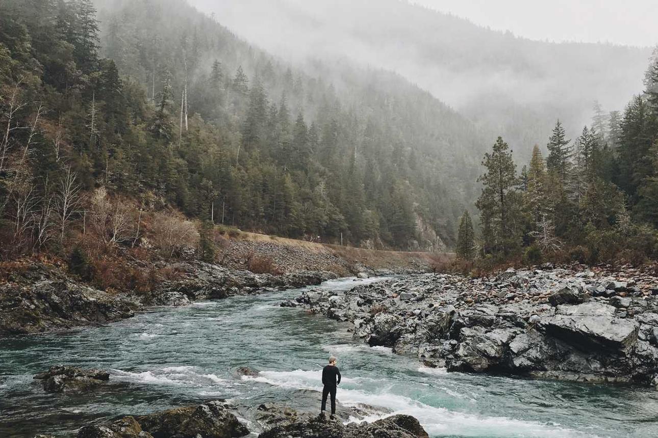 Et veniam rerum ut quidem voluptatem