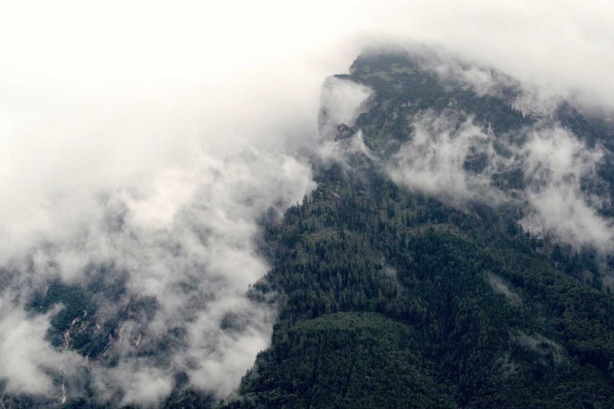 Quo vel vel et dolore